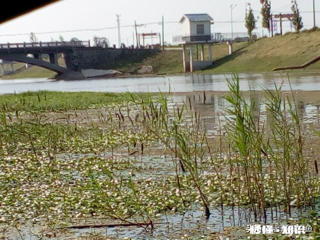 遛鱼的时候，让鱼“呛几口水”的说法有根据吗