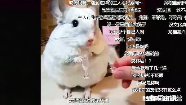 男子抓野兔被刑拘和大学生掏鸟窝被判10年对比两件事，你怎么看