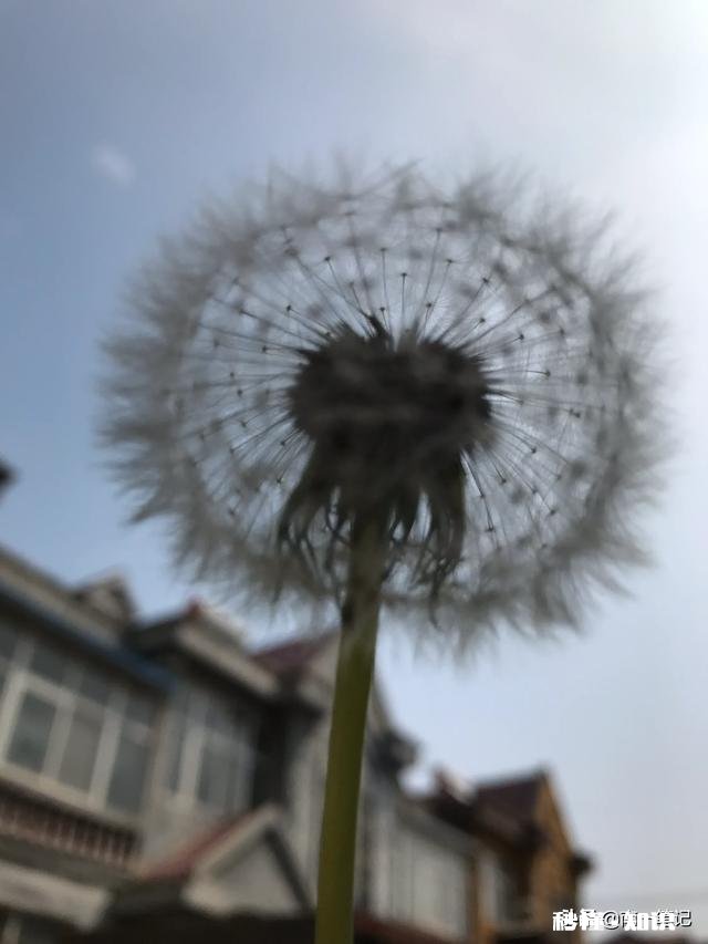 大哥自己另外出钱建了一幢房子，分家时这间房子要分吗