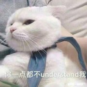 女朋友把自己和你的亲人做比较，该怎么回答