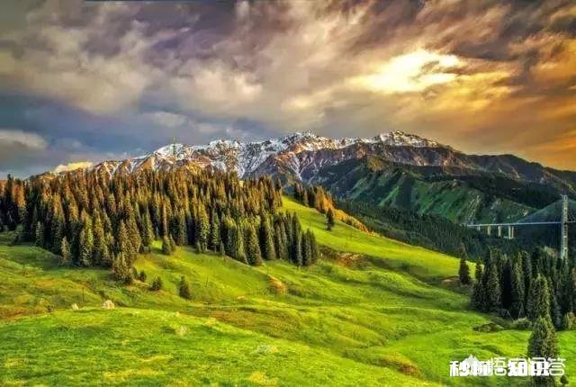 上联：琵琶弦动离别曲，如何对下联