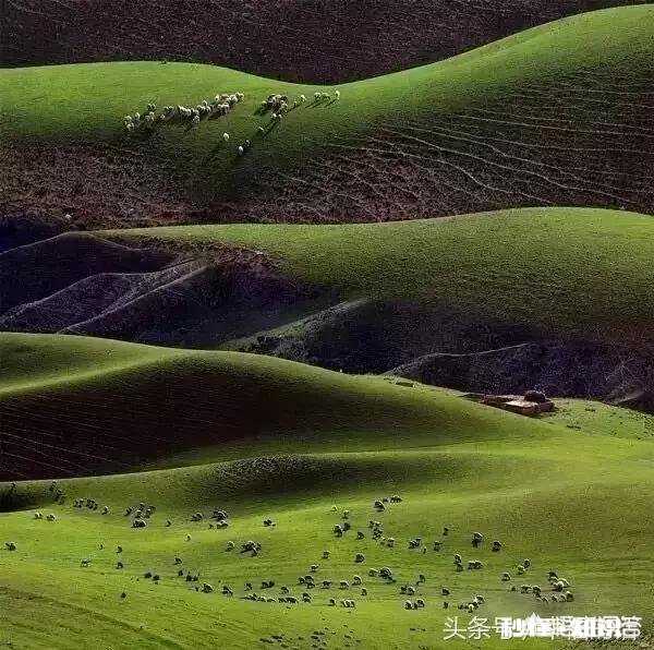 上联：琵琶弦动离别曲，如何对下联