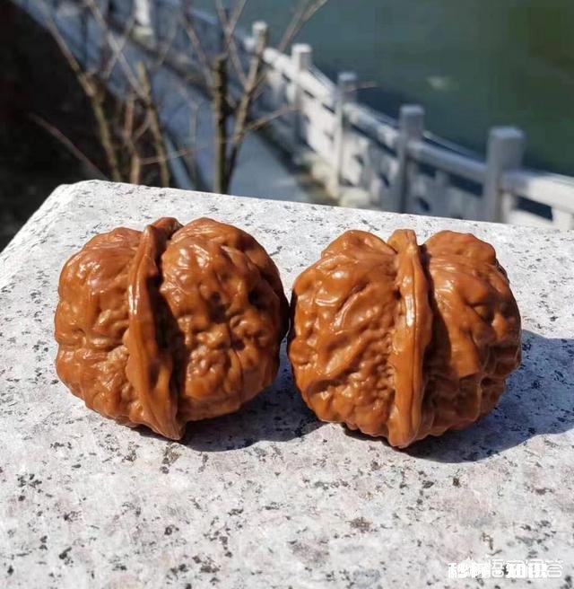 新手玩核桃，有什么建议