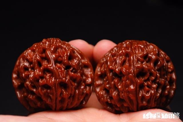 新手玩核桃，有什么建议