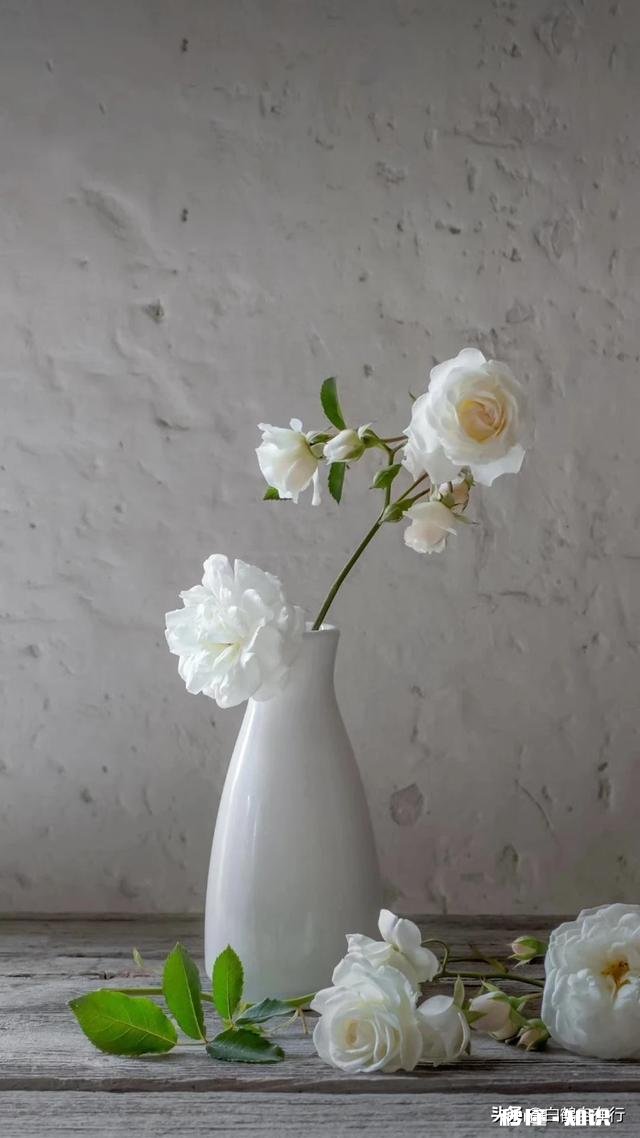 自己的抖音号用心做视频,但是观看到的人好少啊为什么呢