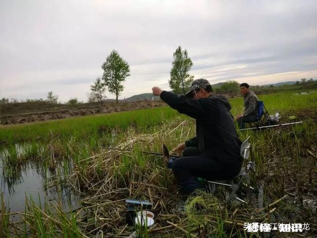 十一这几天，常见轻口鱼，原因是什么，该怎么调整做钓