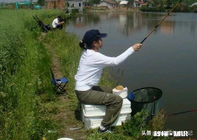 十一这几天，常见轻口鱼，原因是什么，该怎么调整做钓