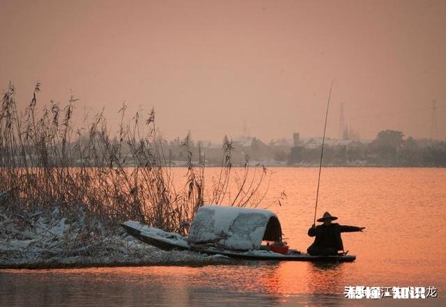 十一这几天，常见轻口鱼，原因是什么，该怎么调整做钓