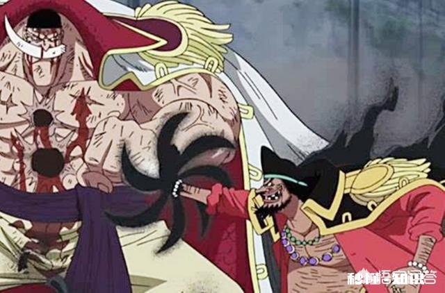 《海贼王》有人天生刀枪不入,如凯多,那白胡子和大妈身体素质是先天还是后天锻炼的