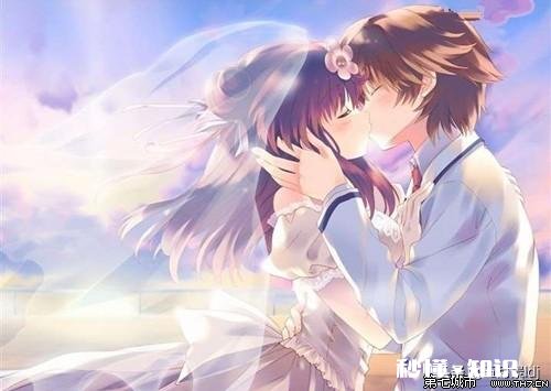 爱情是什么是给予还是所求