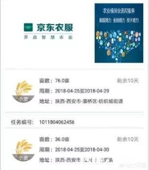 京东上线“农服”，为农户提供全程服务，这件事你怎么看