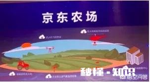 京东上线“农服”，为农户提供全程服务，这件事你怎么看