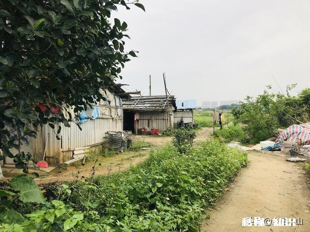 有车，在中山有什么业务可以跑