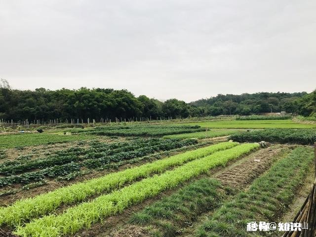 有车，在中山有什么业务可以跑