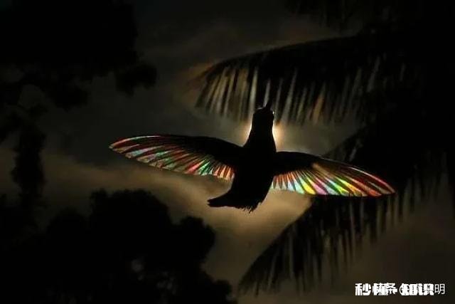 高中要分流，初三学生压力大，如何学好，数学语文外语来应对中考