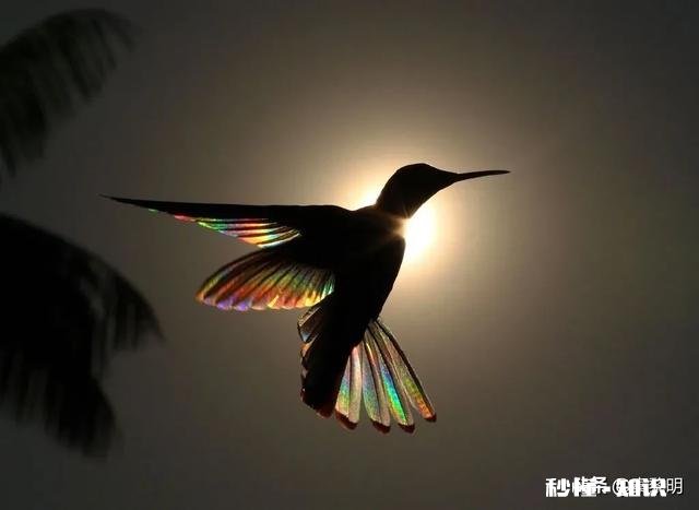 高中要分流，初三学生压力大，如何学好，数学语文外语来应对中考