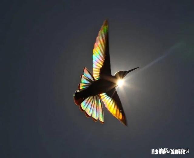 高中要分流，初三学生压力大，如何学好，数学语文外语来应对中考