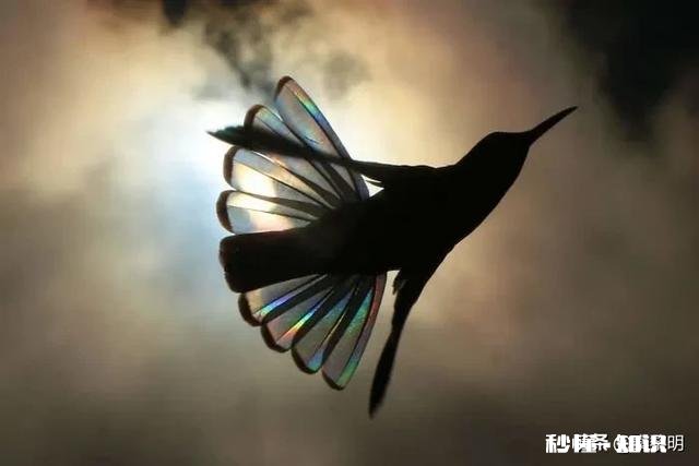 高中要分流，初三学生压力大，如何学好，数学语文外语来应对中考