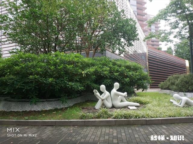 为什么好多学校叫实验中学或实验小学