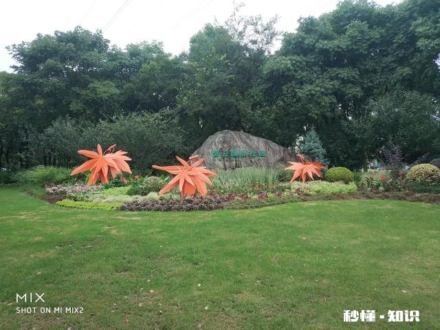 为什么好多学校叫实验中学或实验小学