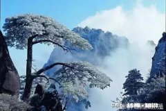 这次新冠疫情过后你最担心的是什么又有什么好方法可化解