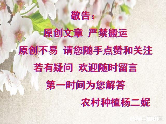 农村里婆媳怎么相处家庭才和睦呢