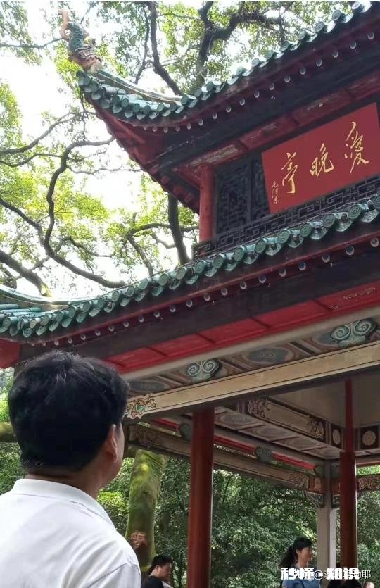 亲戚朋友之间的互相帮助主要体现在哪些方面