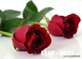 亲戚朋友之间的互相帮助主要体现在哪些方面