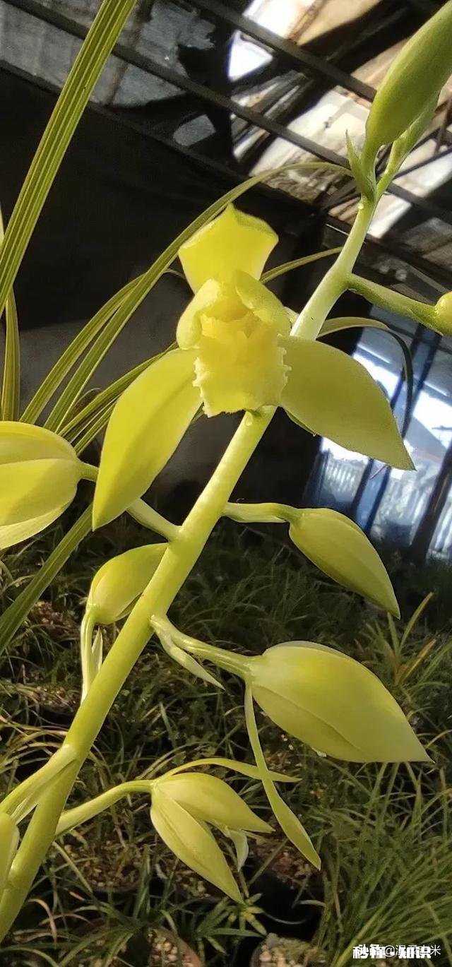 单身带孩子收入普通的80后还适合再婚吗