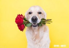 单身带孩子收入普通的80后还适合再婚吗