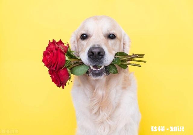 单身带孩子收入普通的80后还适合再婚吗