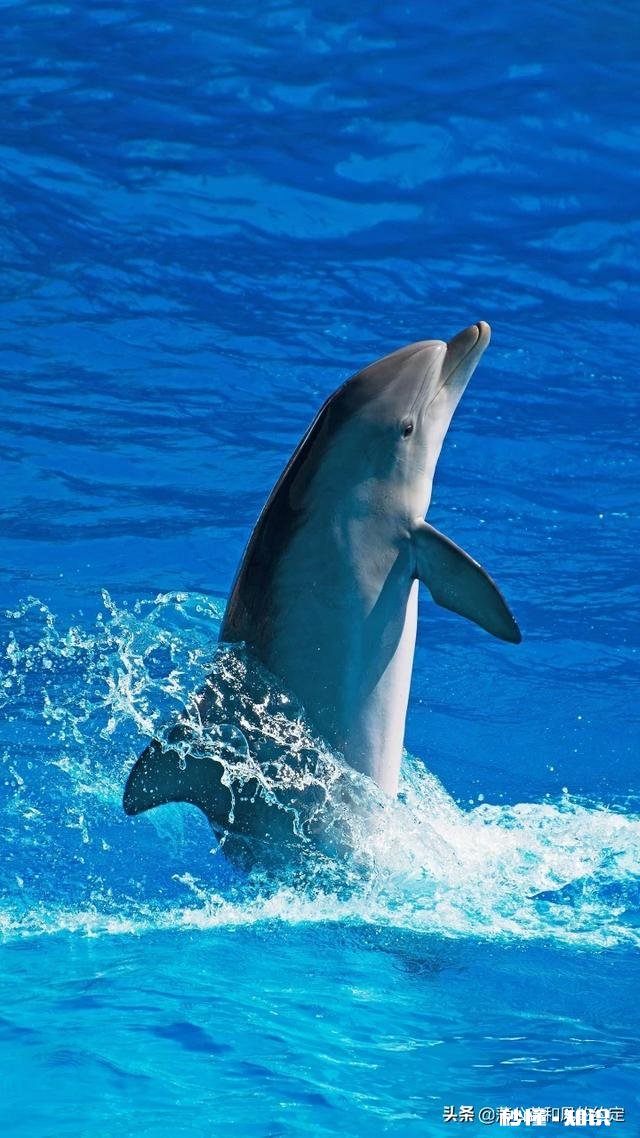 什么是你一天工作完后放松最想做的事情