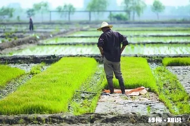 规模化承包土地为什么有时发不了财