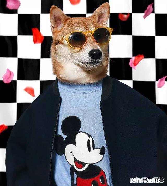 小个子的人应该如何选大衣