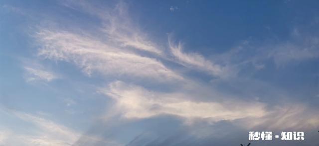 离婚后，别人问你家庭情况，该如实回答吗