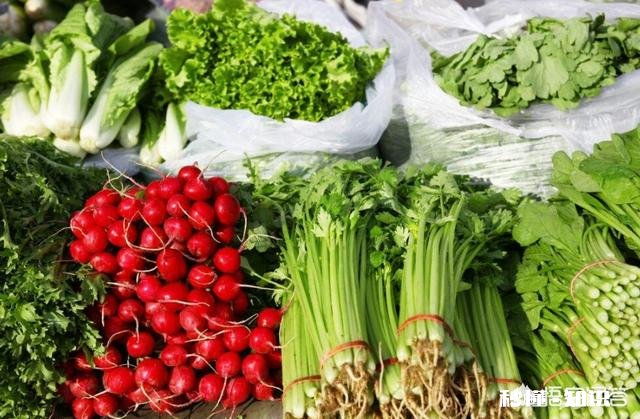 市场蔬菜大多数使用农药化肥，种植野菜会有经济效益吗