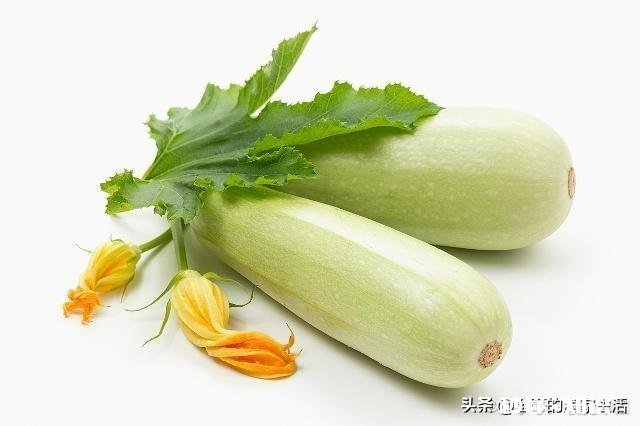 什么原因导致葫芦发生蔓枯病有哪些防治措施