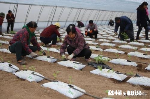 30岁的农民该打工还是创业