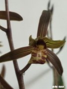 这个假期，你在家中如何度过的