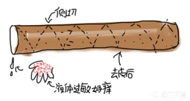 哺乳期可吃淮山吗