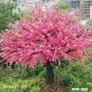 X27这款手机的自拍表现能让人满意吗