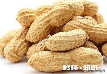 洋葱拌花生米的做法是什么