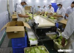 如何能在设施用地上做蔬菜初加工