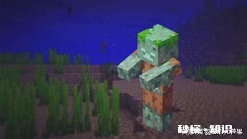 我的世界中如何消灭溺尸