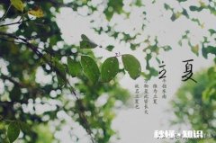 今天立夏，下雨了，农民有什么事情干农民高兴吗