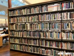 高三学生英语成绩40分数学110，先培优数学还是先补差英语