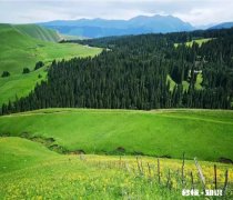普通的三本院校，考研的道路上，到底有多困难