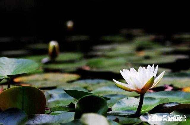 有没有你很想保护的人，即使那个人比你强大很多倍