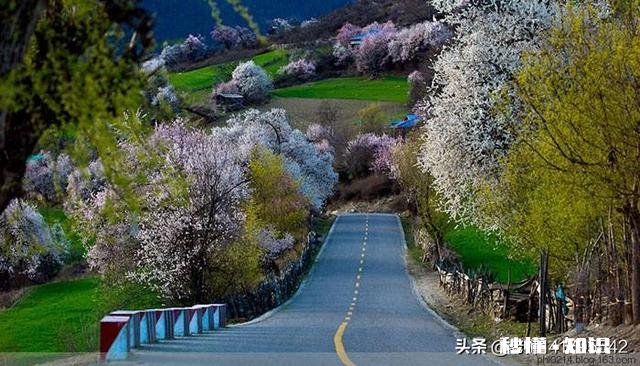 209国道哪里风景最美