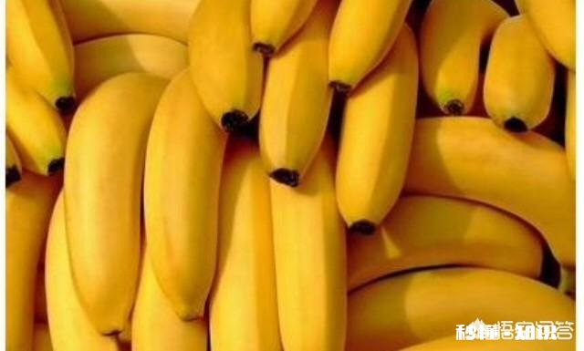 大家对于空腹可不可以吃饭这个问题怎么看